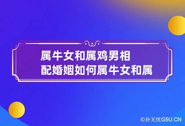 属牛女和属鸡男相配婚姻如何 属牛女和属鸡男婚配好吗