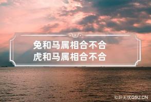 兔和马属相合不合 虎和马属相合不合