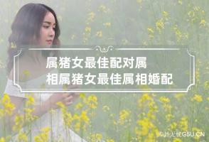 属猪女最佳配对属相 属猪女最佳属相婚配