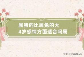 属猪的比属兔的大4岁感情方面适合吗? 属猪大还是属兔大