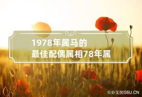 1978年属马的最佳配偶属相 78年属马人配属什么