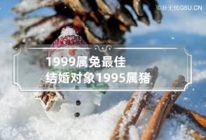 1999属兔最佳结婚对象 1995属猪最佳结婚对象