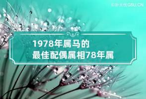 1978年属马的最佳配偶属相 78年属马人最佳婚配