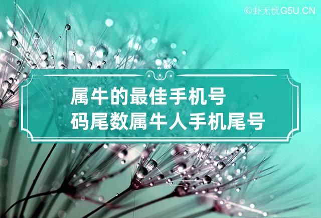 属牛的最佳手机号码尾数 属牛人手机尾号吉祥号