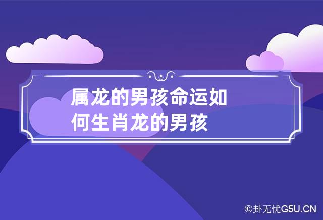 属龙的男孩命运如何 生肖龙的男孩