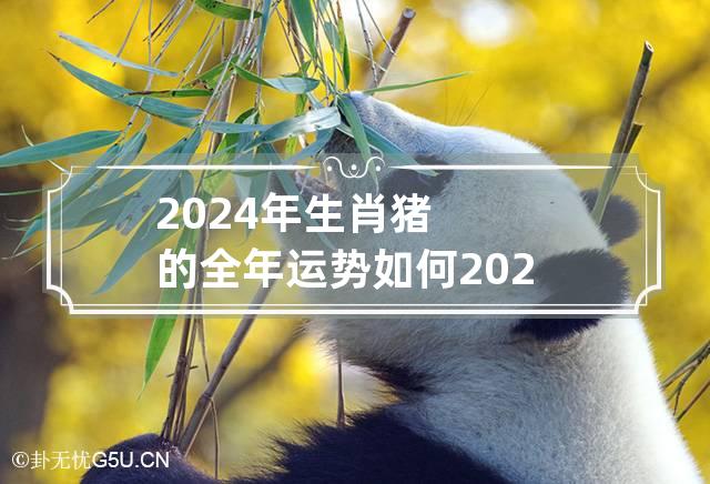 2024年生肖猪的全年运势如何 2024年会披麻戴孝的生肖