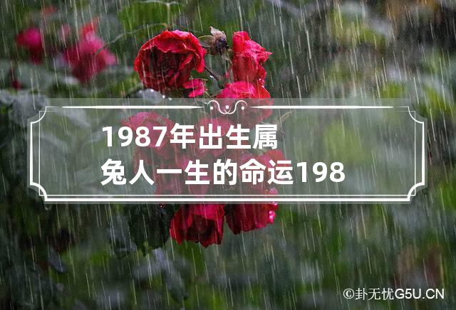 1987年出生属兔人一生的命运 1987年出生属兔人一生的命运怎么样