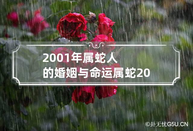 2001年属蛇人的婚姻与命运 属蛇2001最好命男孩子