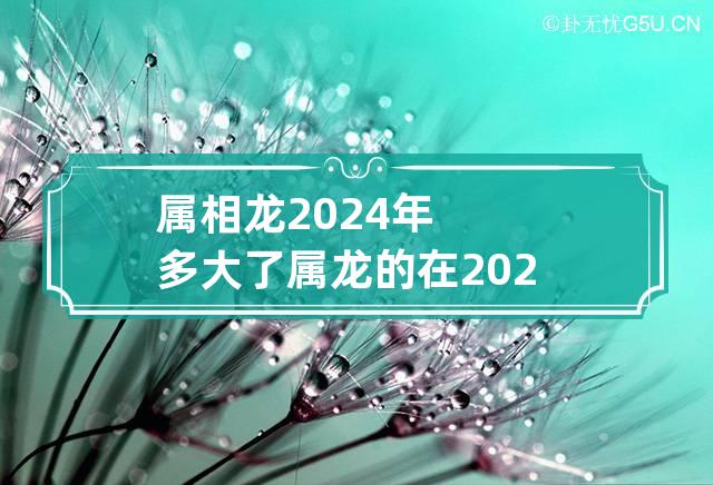 属相龙2024年多大了 属龙的在2024年的运势好不好呢