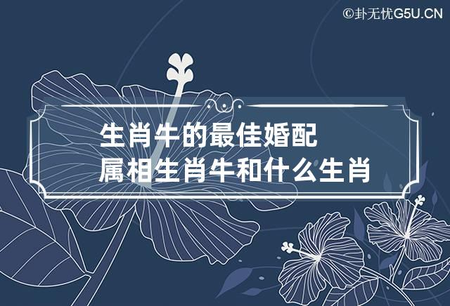 生肖牛的最佳婚配属相 生肖牛和什么生肖最配