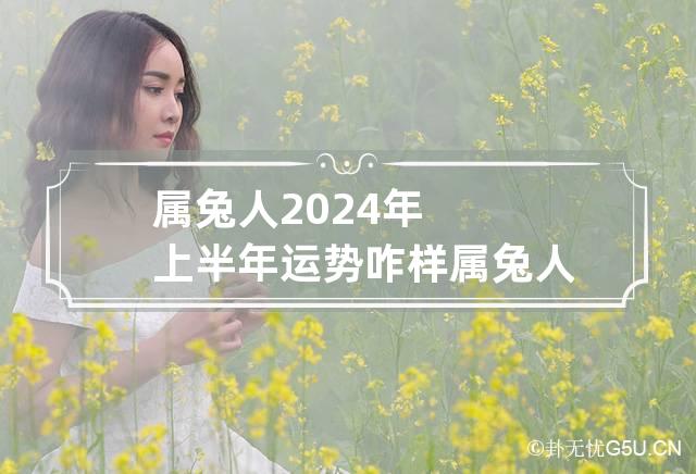 属兔人2024年上半年运势咋样 属兔人2024年运势及财运