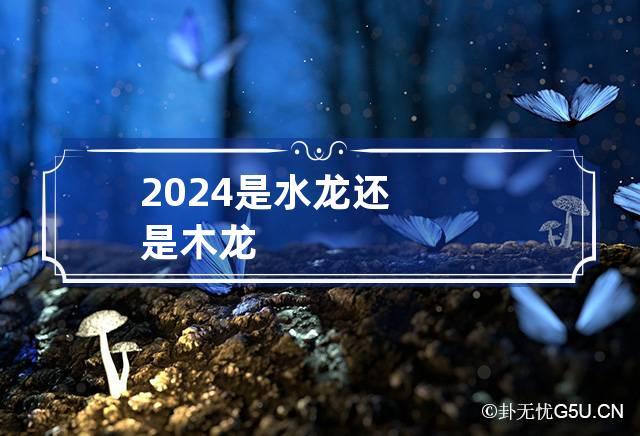 2024是水龙还是木龙