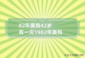 82年属狗42岁有一灾 1982年属狗女2024年全年的运势