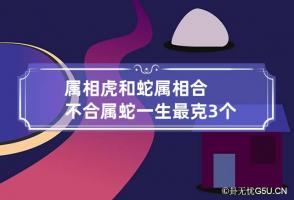 属相虎和蛇属相合不合 属蛇一生最克3个人