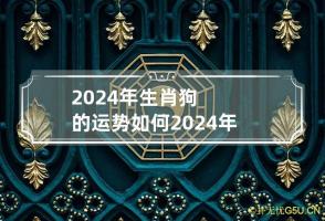 2024年生肖狗的运势如何 2024年生肖狗的运势如何看