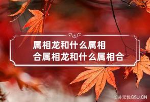 属相龙和什么属相合 属相龙和什么属相合财最好