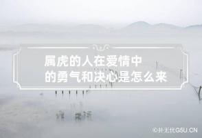 属虎的人在爱情中的勇气和决心是怎么来的