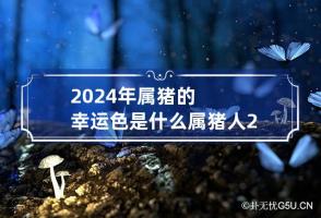 2024年属猪的幸运色是什么 属猪人2024