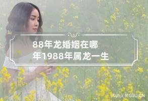 88年龙婚姻在哪年 1988年属龙一生三劫