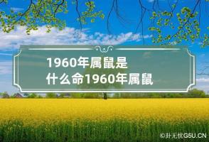 1960年属鼠是什么命 1960年属鼠是什么命女