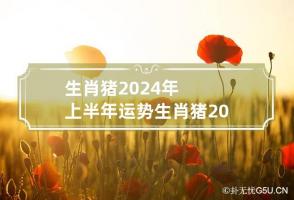 生肖猪2024年上半年运势 生肖猪2024年上半年运势怎么样