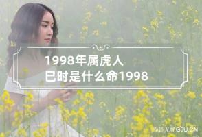 1998年属虎人巳时是什么命 1998年属虎人哪个时辰出生最不好