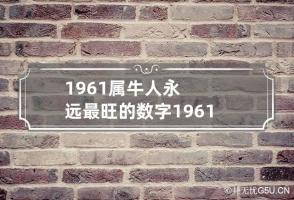 1961属牛人永远最旺的数字 1961属牛的人命好吗