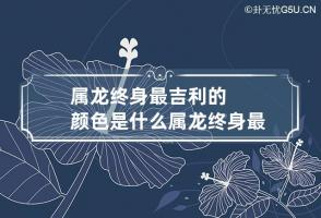 属龙终身最吉利的颜色是什么 属龙终身最吉利的颜色是什么呢