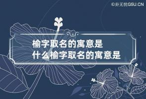 榆字取名的寓意是什么 榆字取名的寓意是什么呢