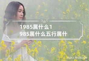 1985属什么 1985属什么五行属什么命