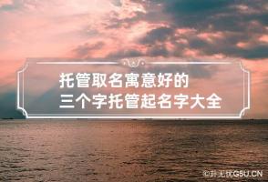 托管取名寓意好的三个字 托管起名字大全免费