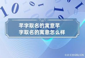 b型血女人的性格特点 B型血女生性格解析