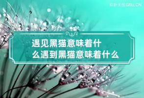 b型血女人的性格特点 B型血女生性格解析