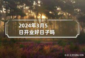 2024年3月5日开业好日子吗