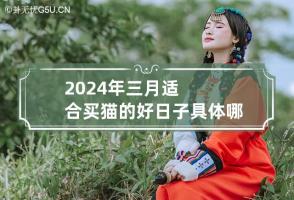 2024年三月适合买猫的好日子具体哪天