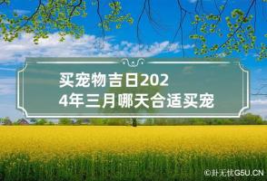 买宠物吉日2024年三月哪天合适买宠物