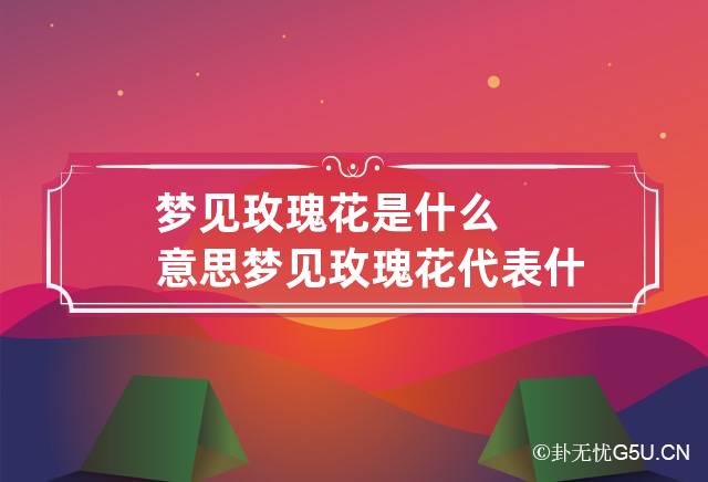 梦见玫瑰花是什么意思 梦见玫瑰花代表什么