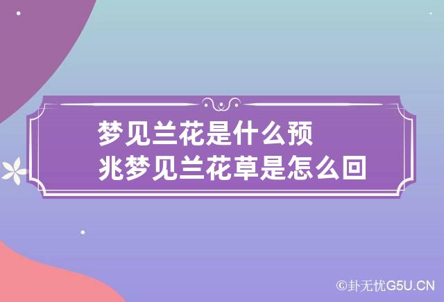 梦见兰花是什么预兆 梦见兰花草是怎么回事