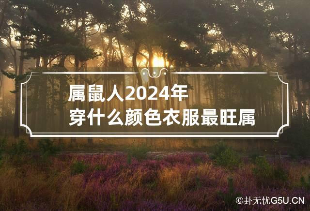 属鼠人2024年穿什么颜色衣服最旺 属鼠的在2024年是什么运势