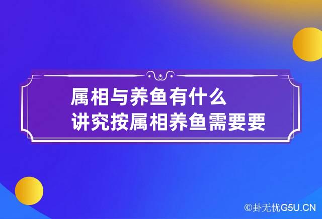 属相与养鱼有什么讲究 按属相养鱼需要要什么颜色