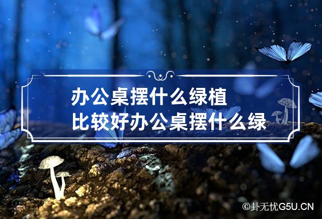 办公桌摆什么绿植比较好 办公桌摆什么绿植比较好养