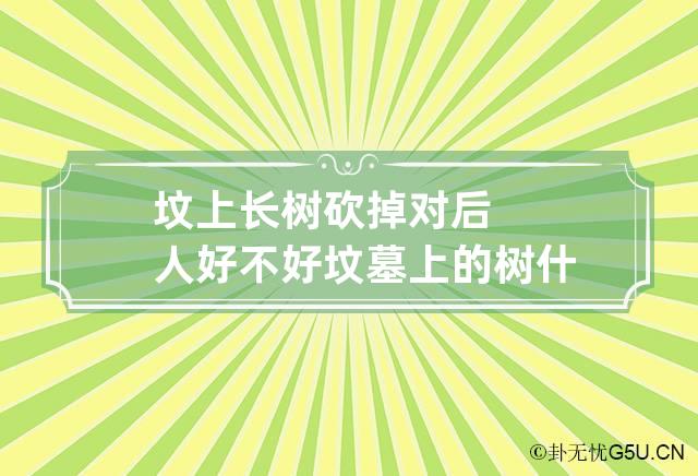 坟上长树砍掉对后人好不好 坟墓上的树什么时候除掉最好