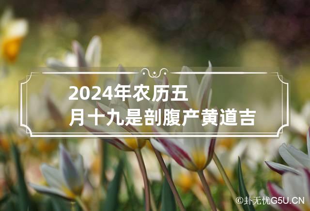 2024年农历五月十九是剖腹产黄道吉日吗