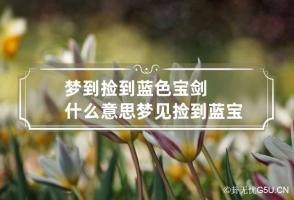 梦到捡到蓝色宝剑什么意思 梦见捡到蓝宝石什么意思