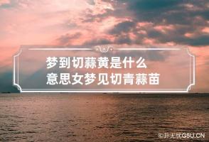 b型血女人的性格特点 B型血女生性格解析