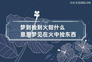 梦到捡到火钳什么意思 梦见在火中捡东西