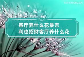 b型血女人的性格特点 B型血女生性格解析