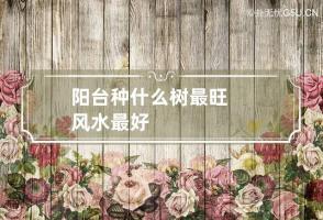 b型血女人的性格特点 B型血女生性格解析