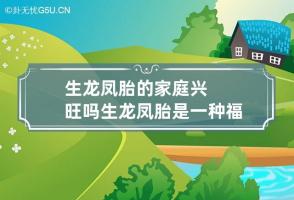 生龙凤胎的家庭兴旺吗 生龙凤胎是一种福气吗