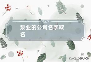 泵业的公司名字取名